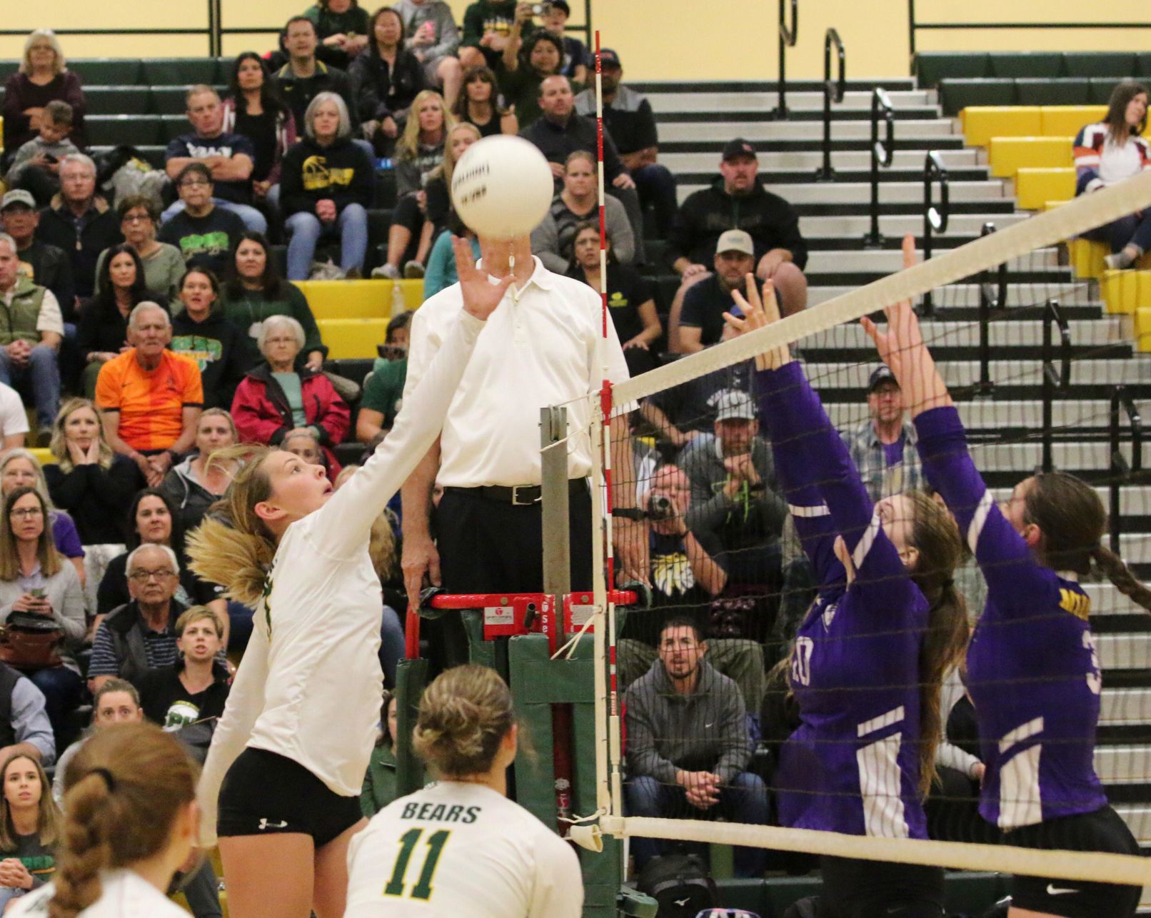 VALLEY BOUND: Golden Bears dispatch Mustangs, advance to championship